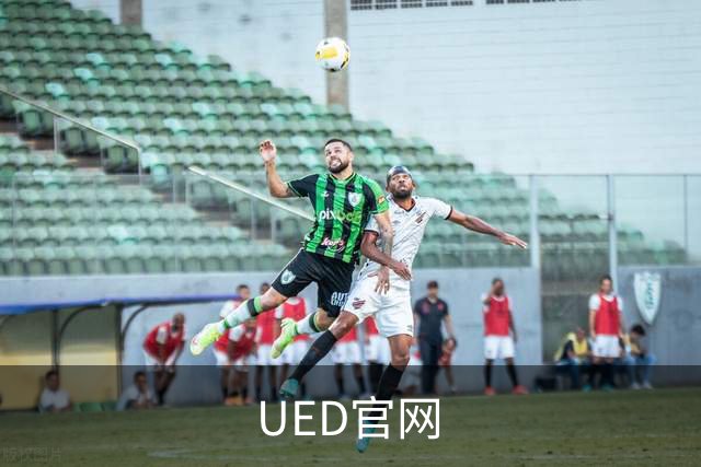 UED官网公司介绍图